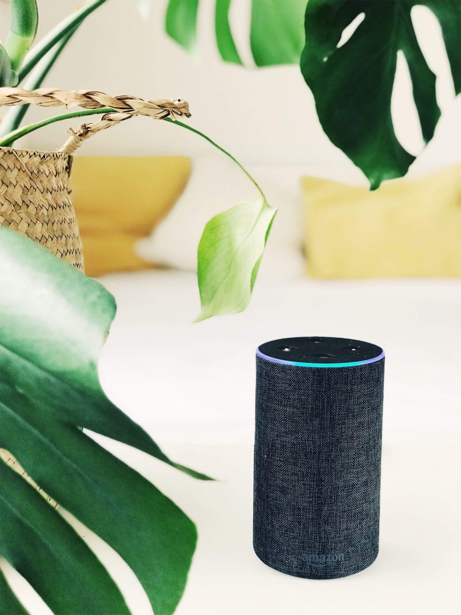 Alexa for seniors
